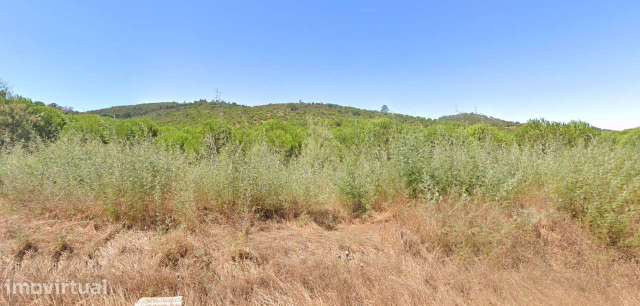 Herdade Raco de Baixo - S. Luís Poente - Grande imagem: 3/6