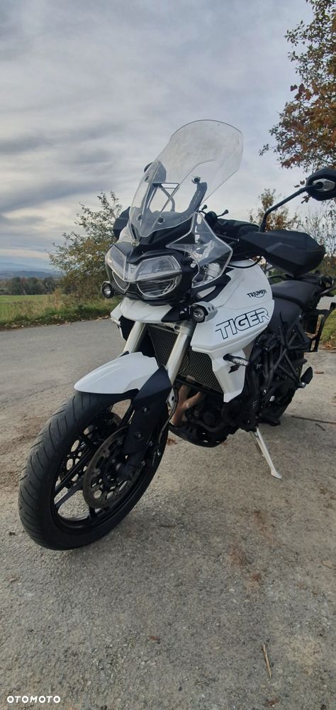 Triumph Tiger - 12