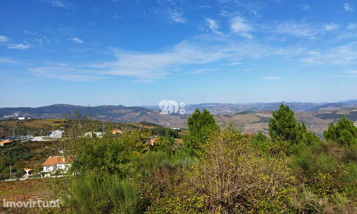 Terreno 5979m² - Tabuaço - Grande imagem: 4/5