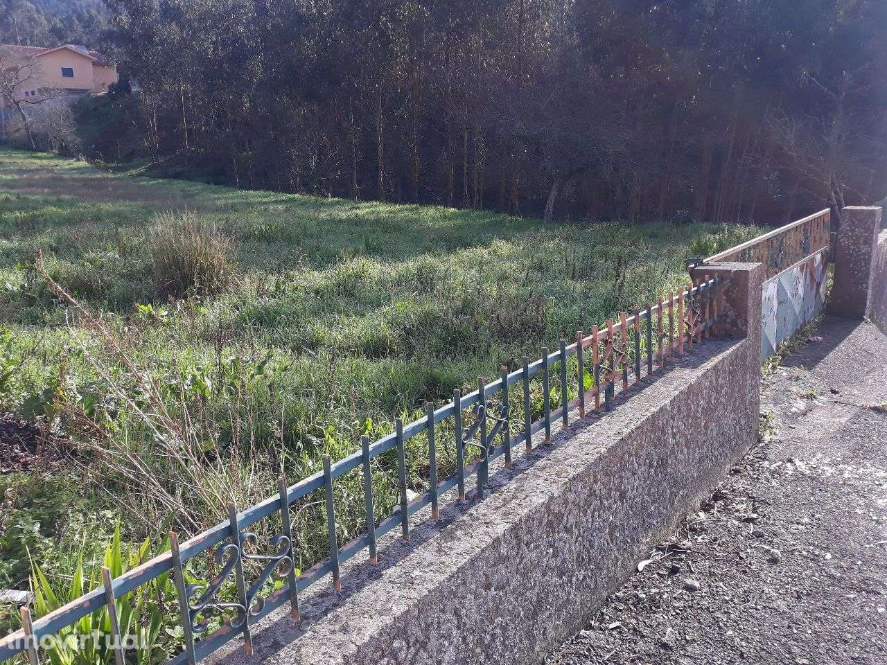 Terreno Vale da Sapa - Albergaria a Velha - Grande imagem: 3/6