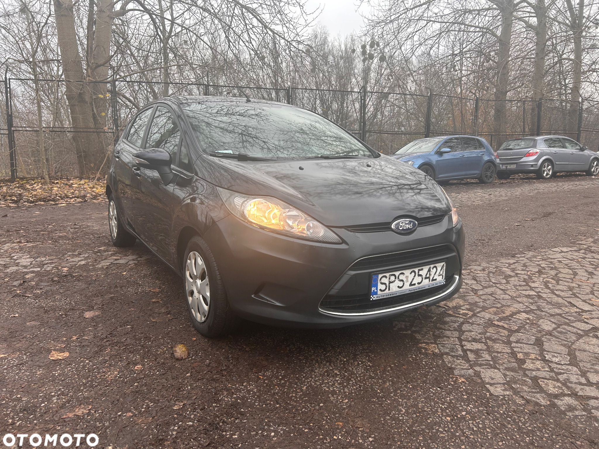Ford Fiesta 1.4 TDCi Platinium X - 9