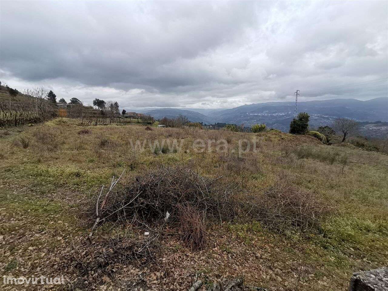 Terreno / Baião, Baião (Santa Leocádia) e Mesquinhata - Grande imagem: 3/6