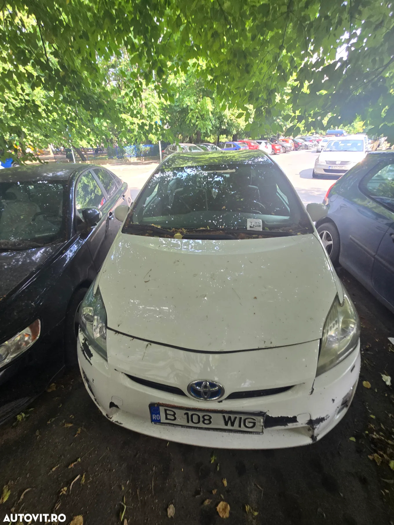 Toyota Prius (Hybrid) Luna - 2