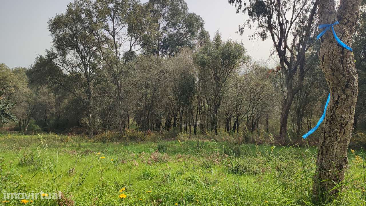 Terreno em Turiz, Vila Verde - Grande imagem: 2/9