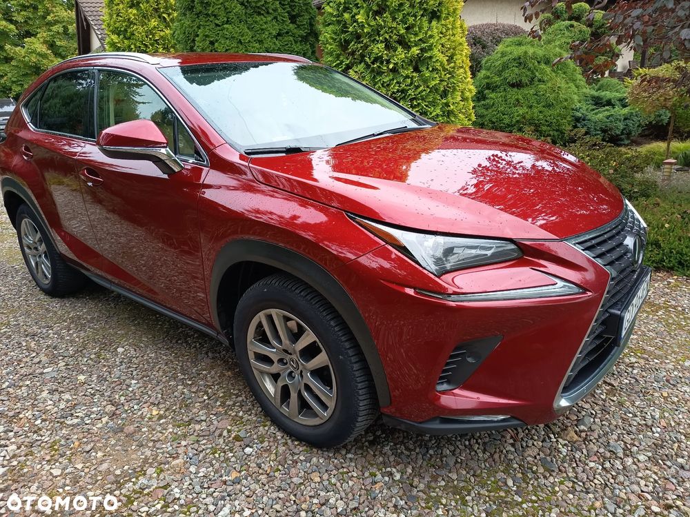 Lexus NX 300 Comfort AWD - 2