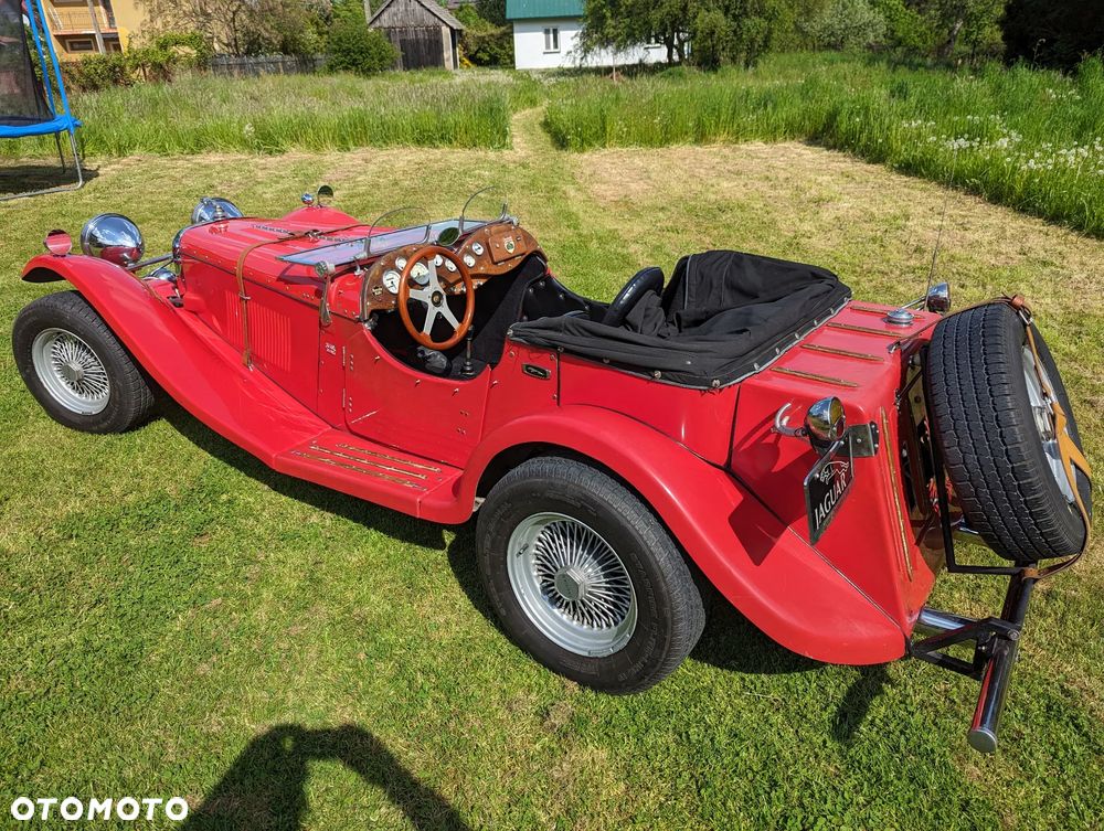 Jaguar Inny - 7
