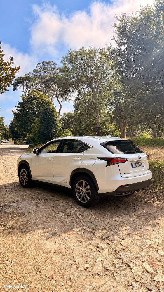 Lexus NX 300h F Sport 4WD - 5