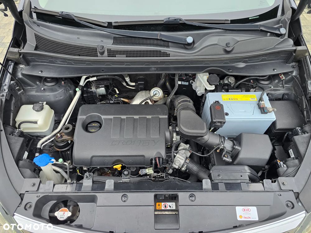 Kia Sportage - 29