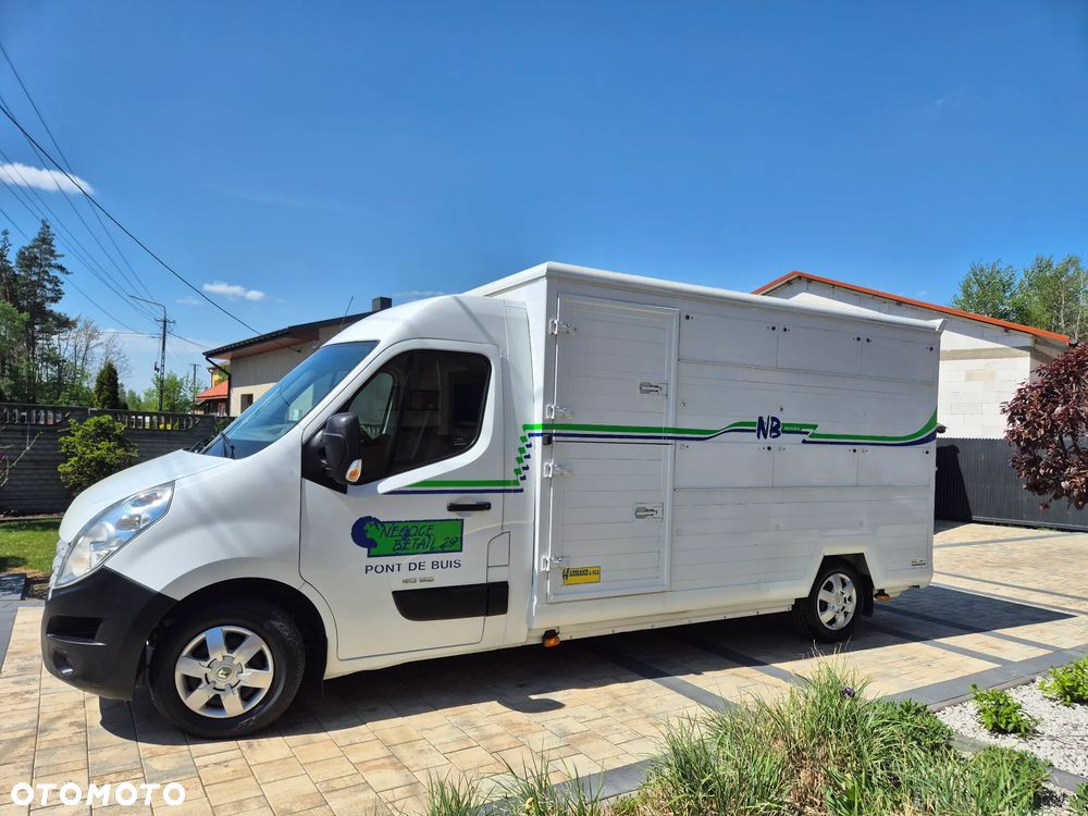 Renault MASTER KONIOWÓZ 1800KG ŁADOWNOSC DO PRZEWOZU ZWIERZAT BYDŁA KLIMA - 10