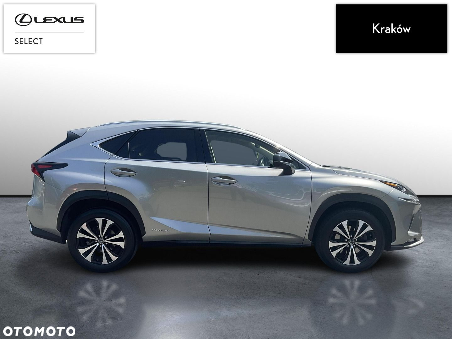 Lexus NX - 6