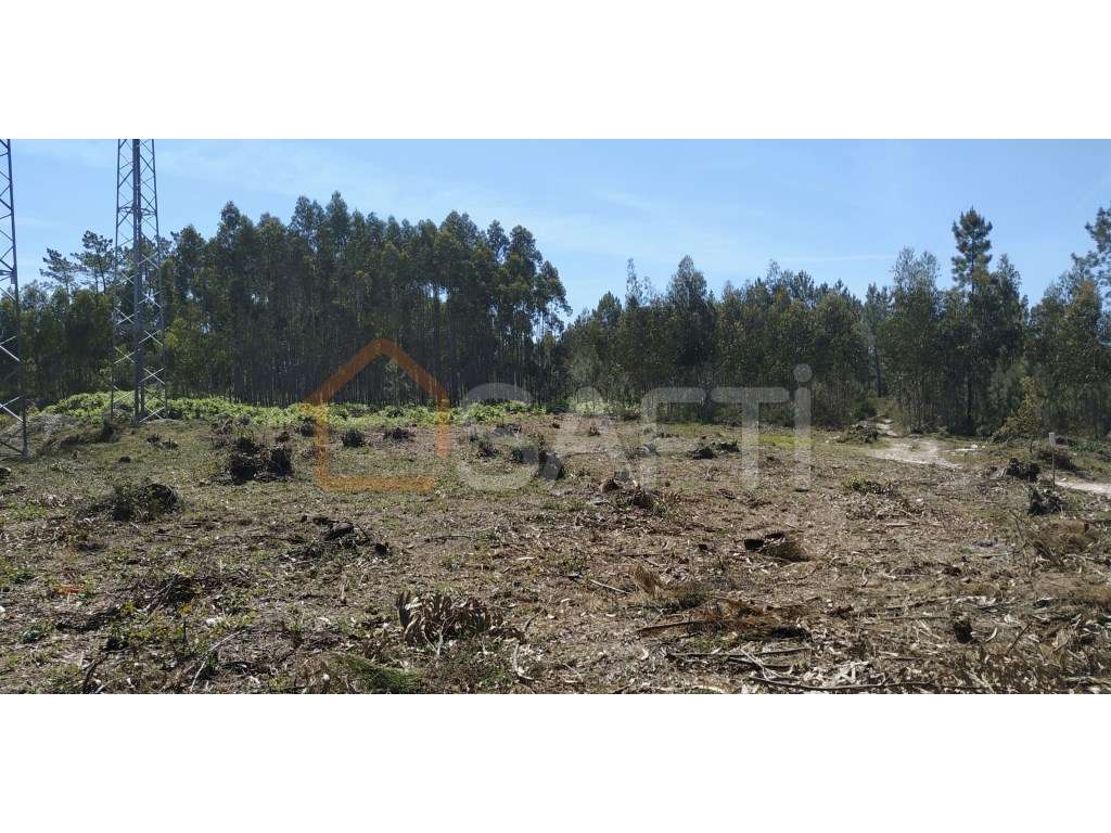 Terreno em zona industrial - Grande imagem: 5/8