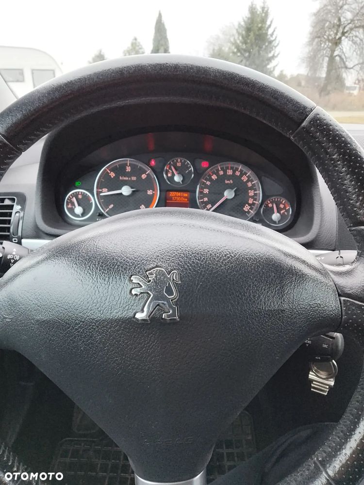 Peugeot 407 - 2