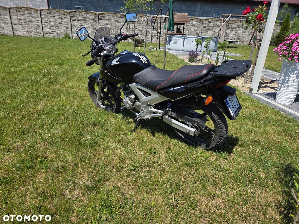 Honda CBF - 3