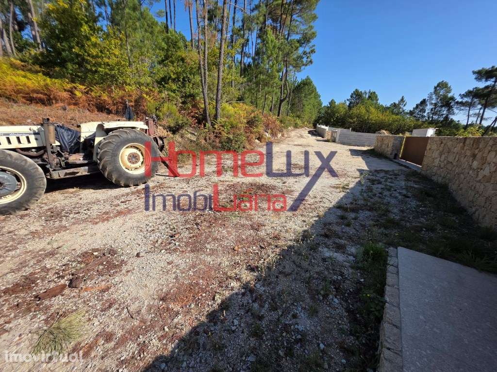 Terreno para venda em Castro Daire - Grande imagem: 3/9