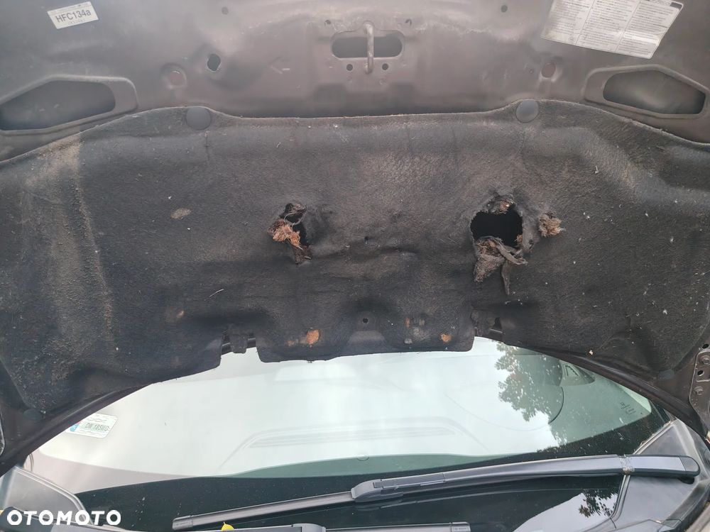 Honda Civic - 31
