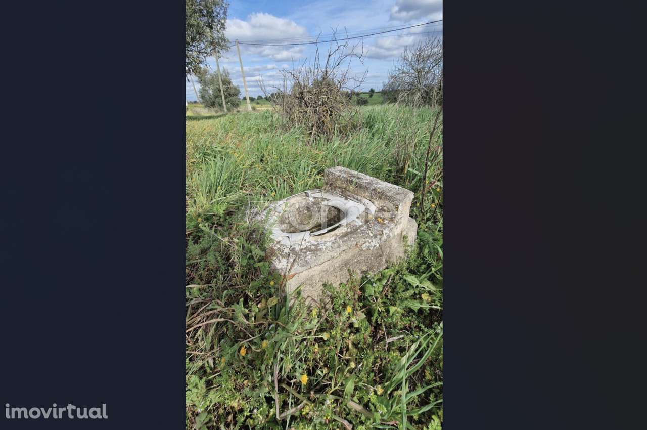 Quinta em Ferreira do Alentejo - Gasparões - Grande imagem: 5/20
