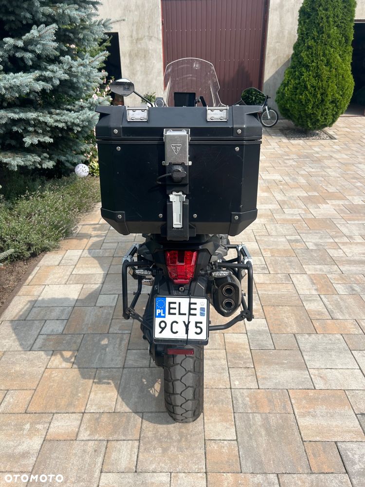 Triumph Tiger - 10
