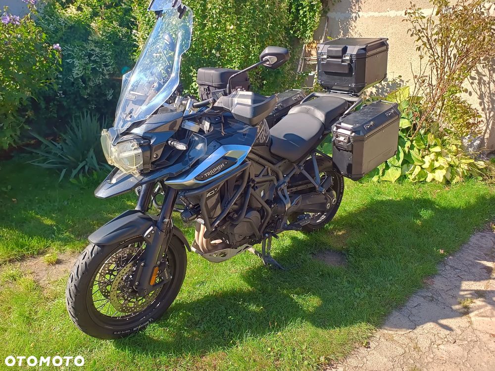 Triumph Tiger - 7
