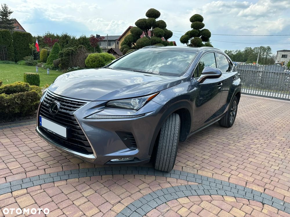 Lexus NX 300 Comfort AWD - 2