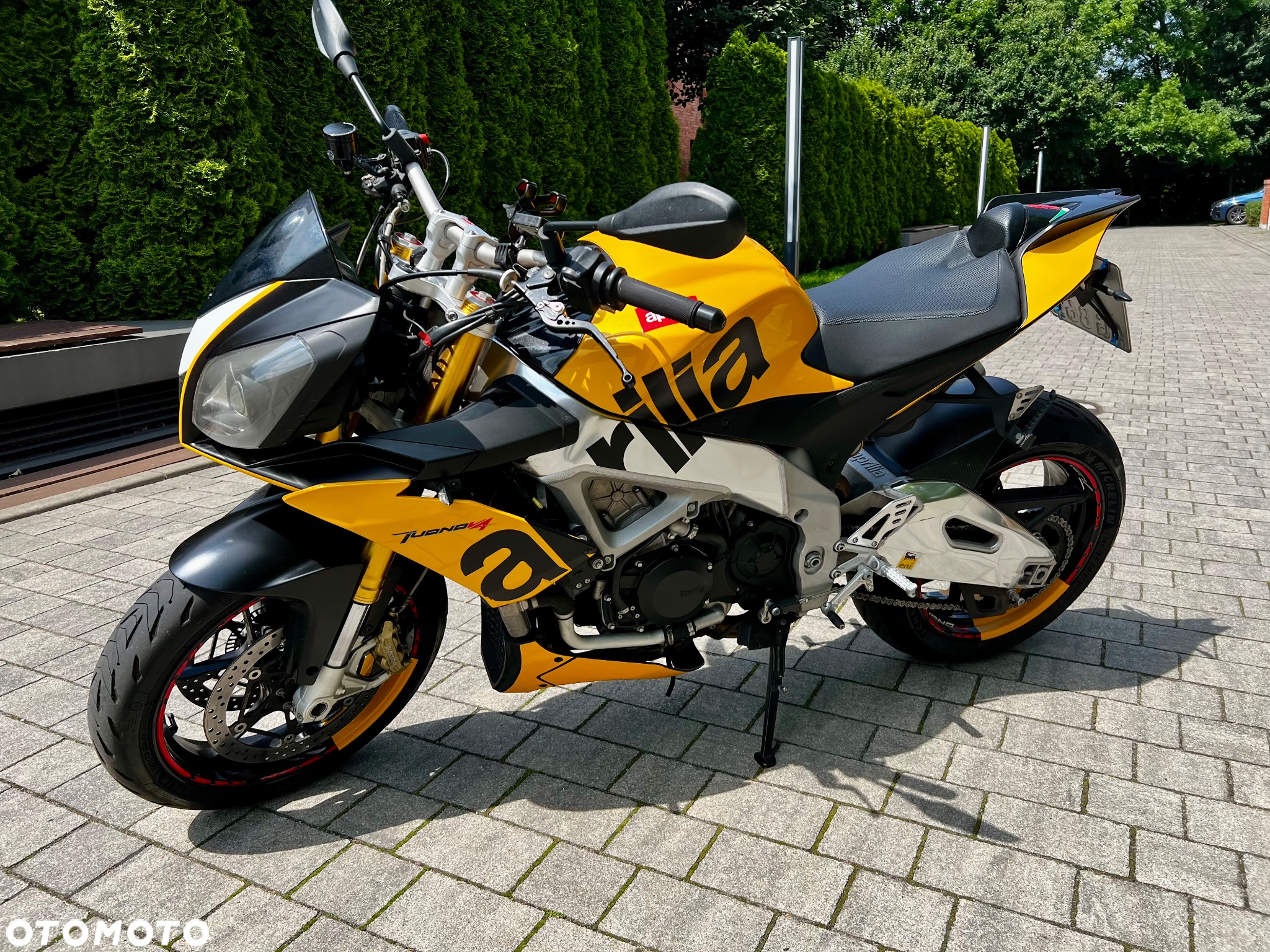 Aprilia Tuono - 6