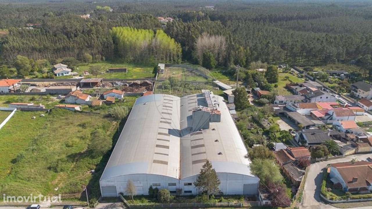 Armazém  para venda - Grande imagem: 5/46