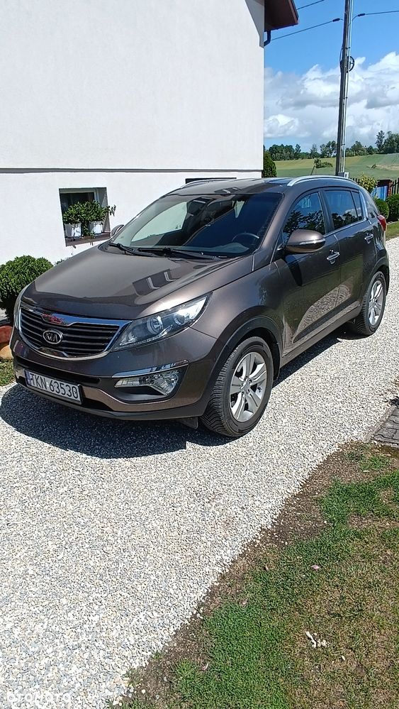 Kia Sportage - 1