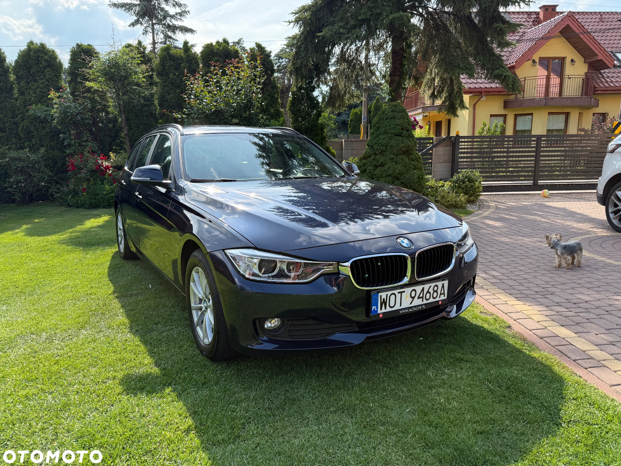 BMW Seria 3 - 30