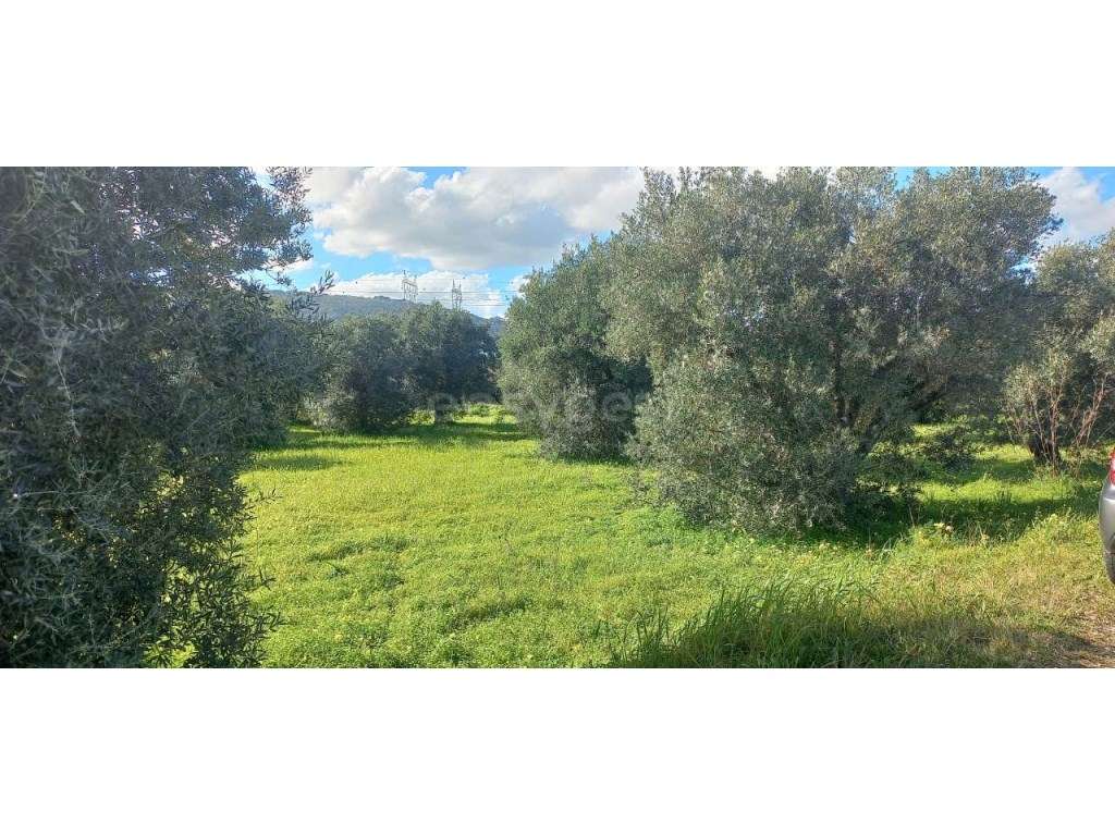 Terreno rústico com 4400 m2 com agua e luz em Alverca do Ribatejo a... - Grande imagem: 2/4