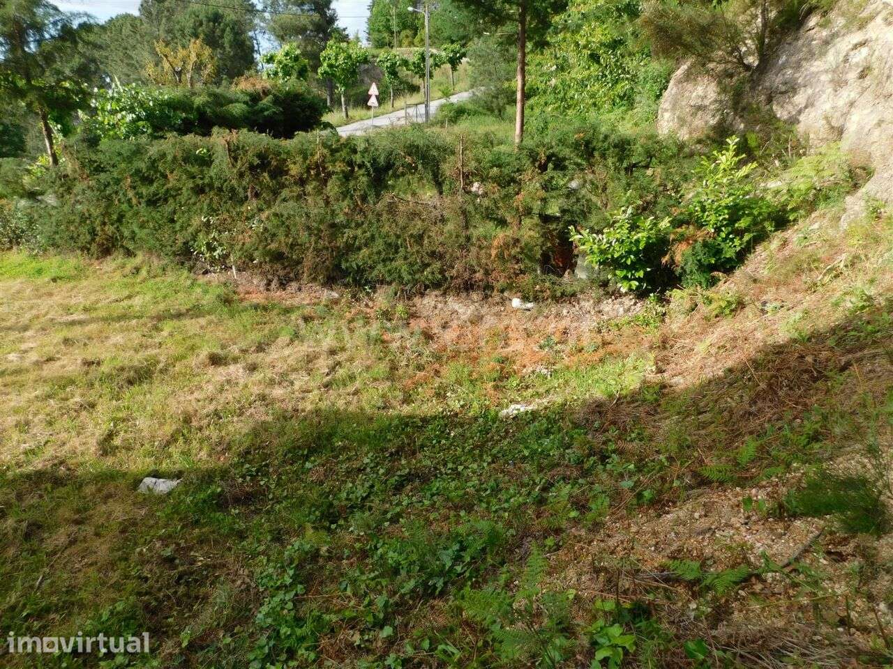 Terreno / Seia, São Romão - Grande imagem: 4/10