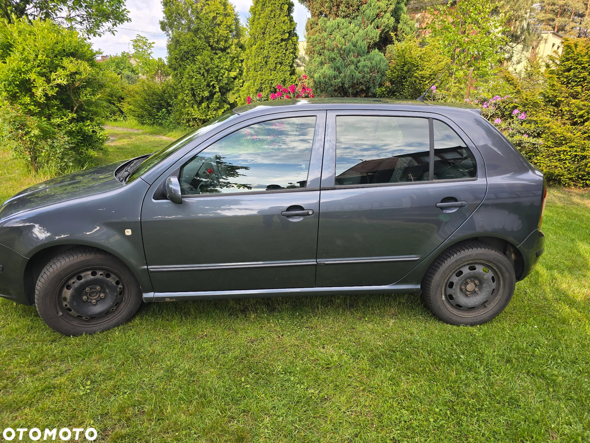 Skoda Fabia - 5