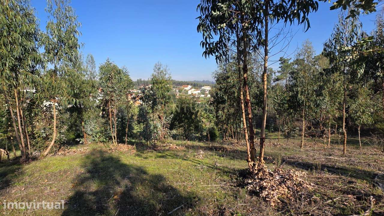 Terreno em Soure, Coimbra - Oportunidade Única de Construção - Grande imagem: 3/16