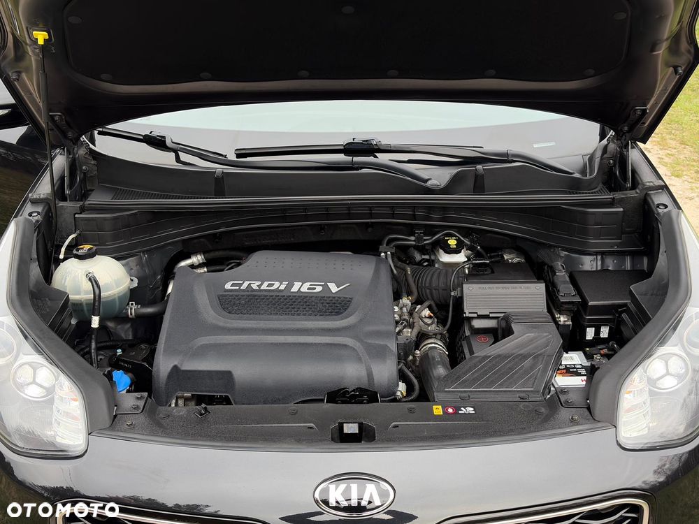 Kia Sportage - 38