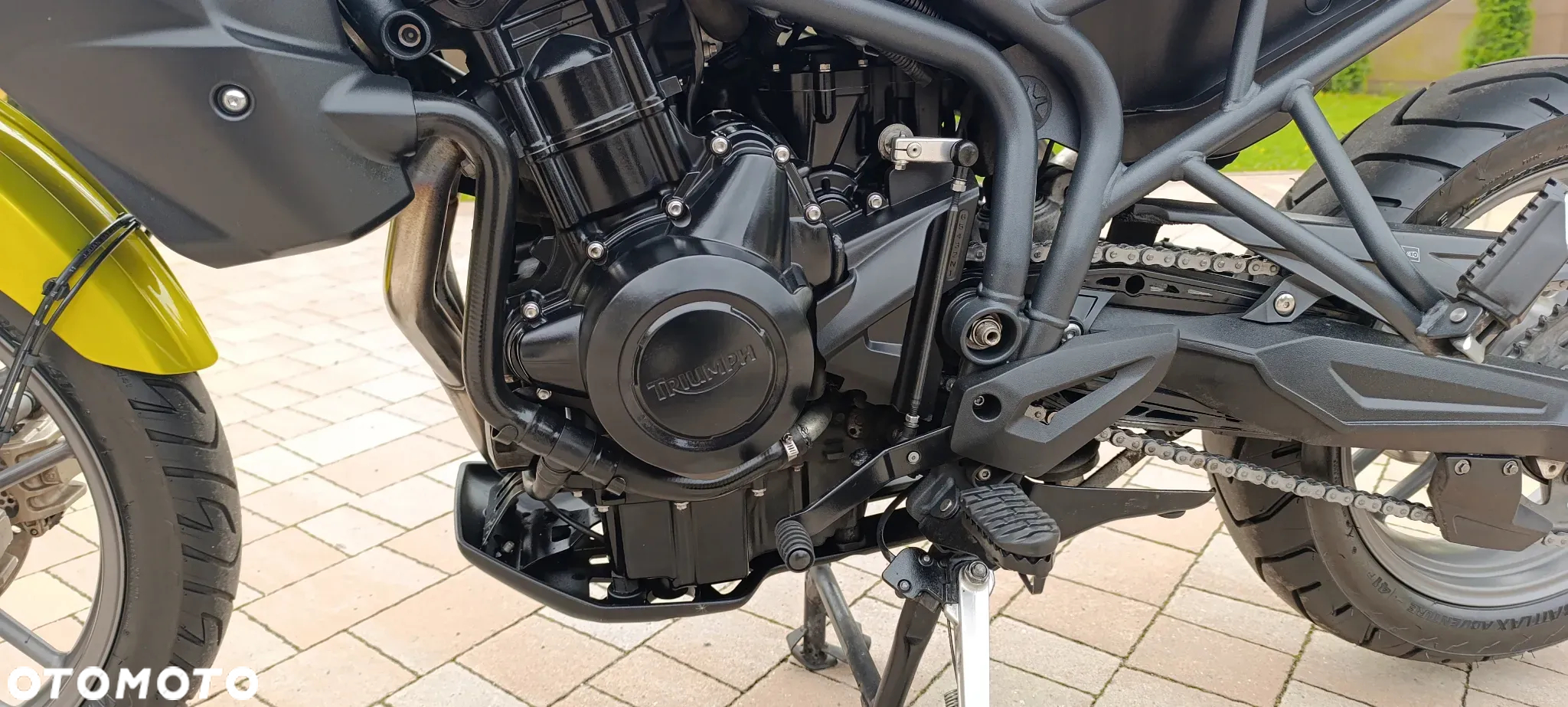 Triumph Tiger - 37