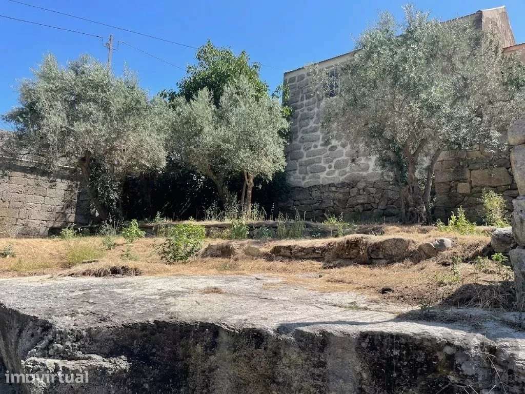 Quinta com Moradia e Terrenos | Junto aos Passadiços do Mondego | Guar - Grande imagem: 2/41