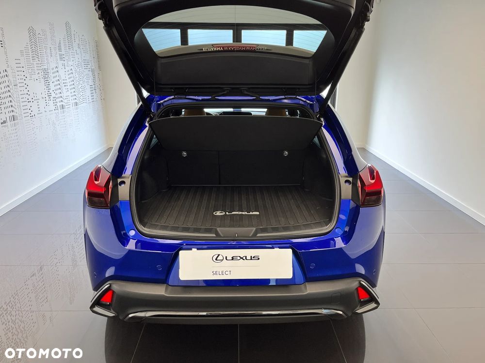 Lexus UX 300h F Sport Design - 9