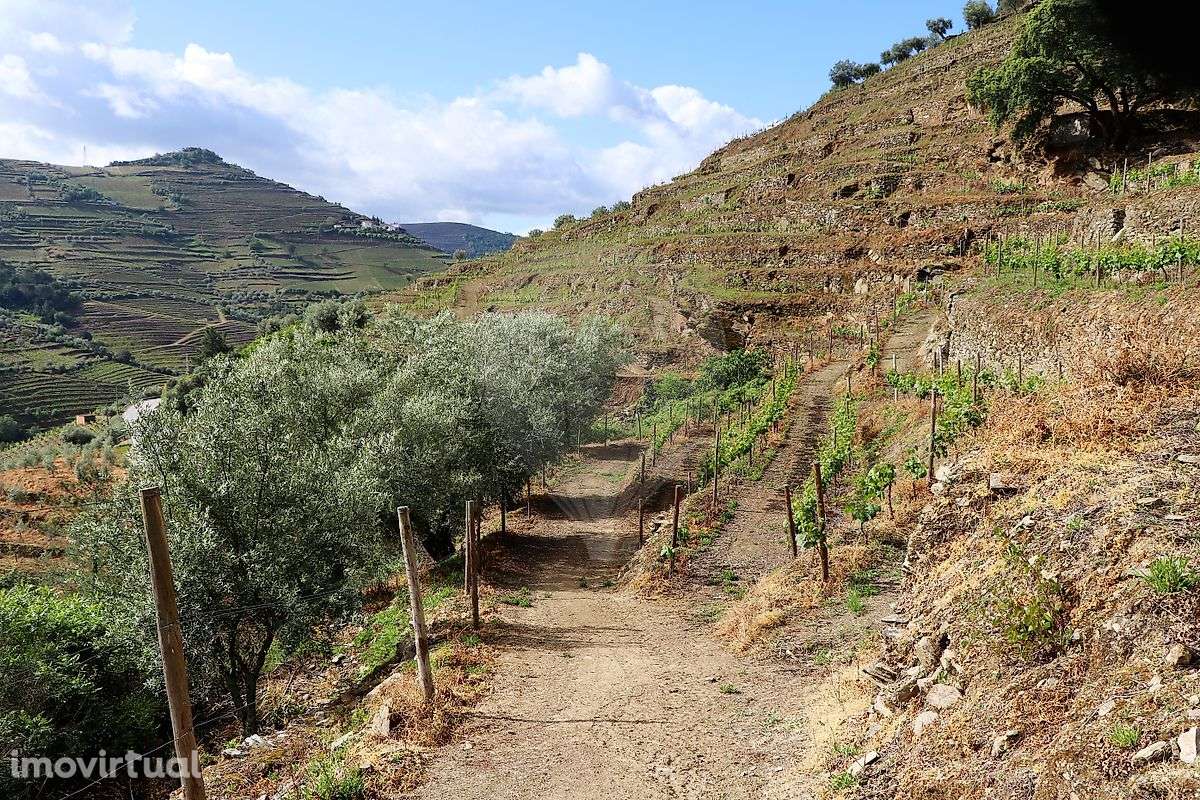 Quinta  para venda - Grande imagem: 5/36