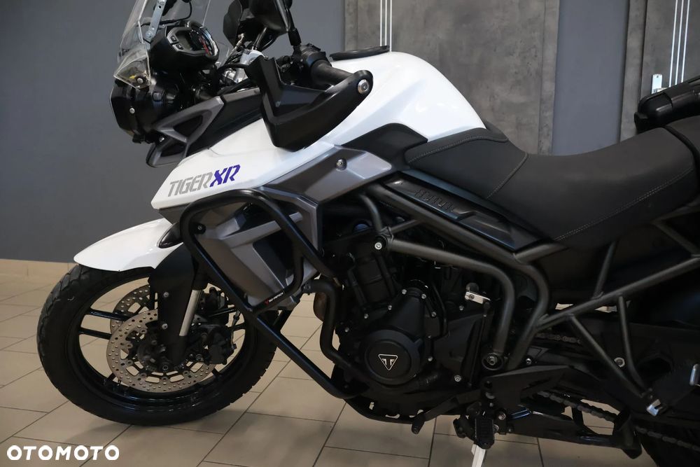 Triumph Tiger - 29