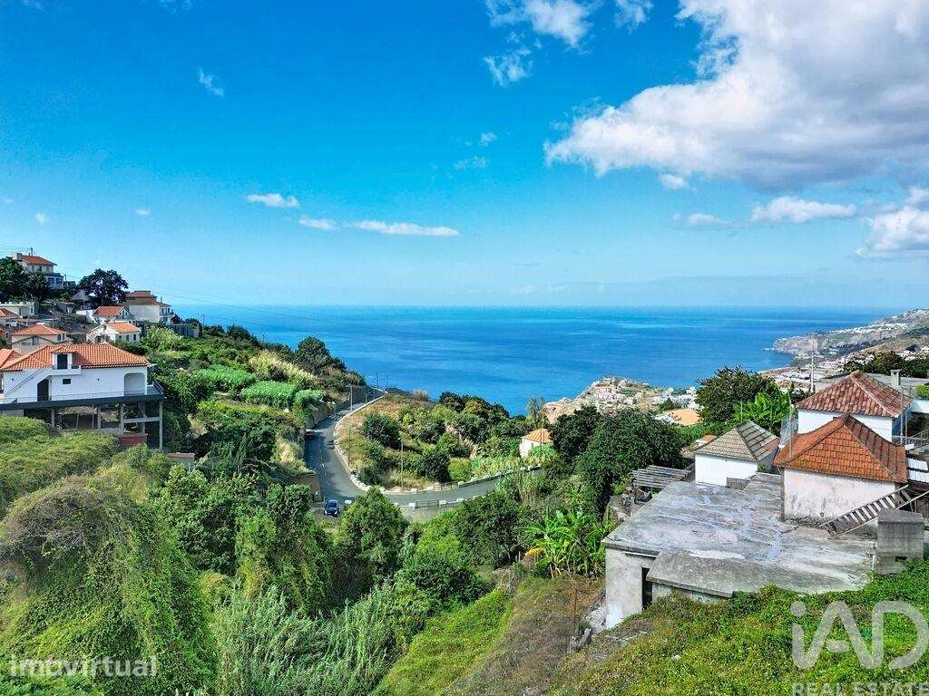 Terreno Agrícola em Ribeira Brava - Grande imagem: 5/16