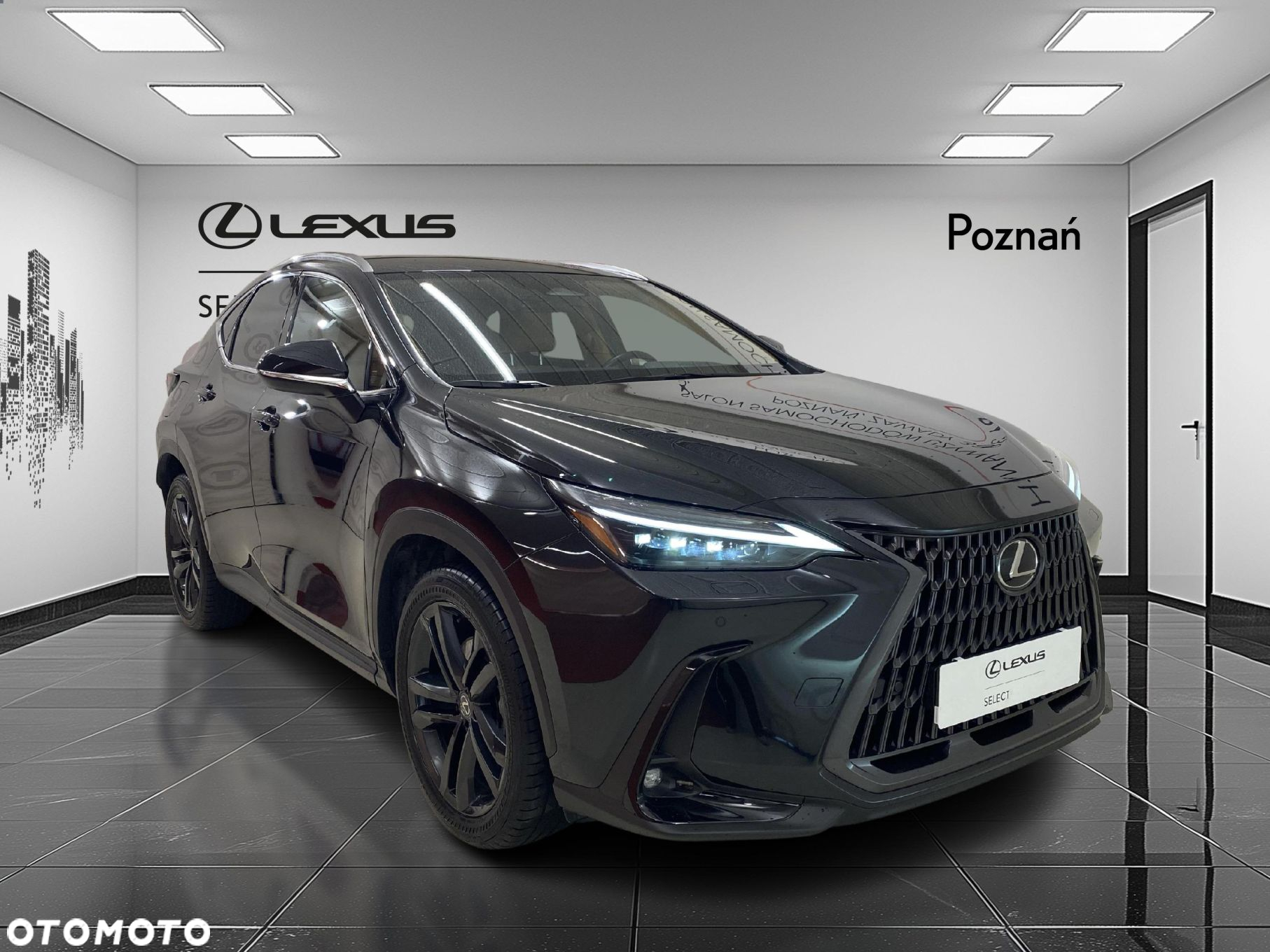 Lexus NX - 8