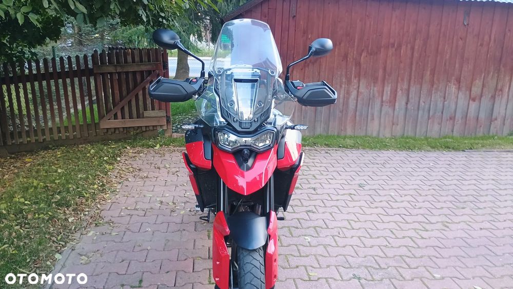 Triumph Tiger - 7