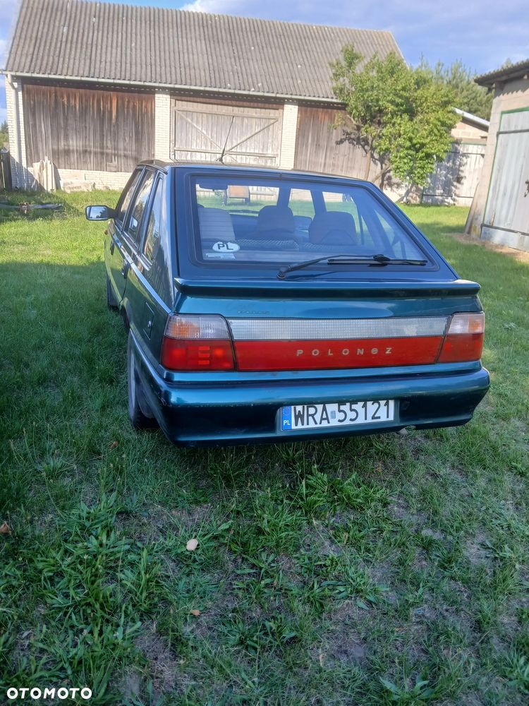 Polonez Caro - 11