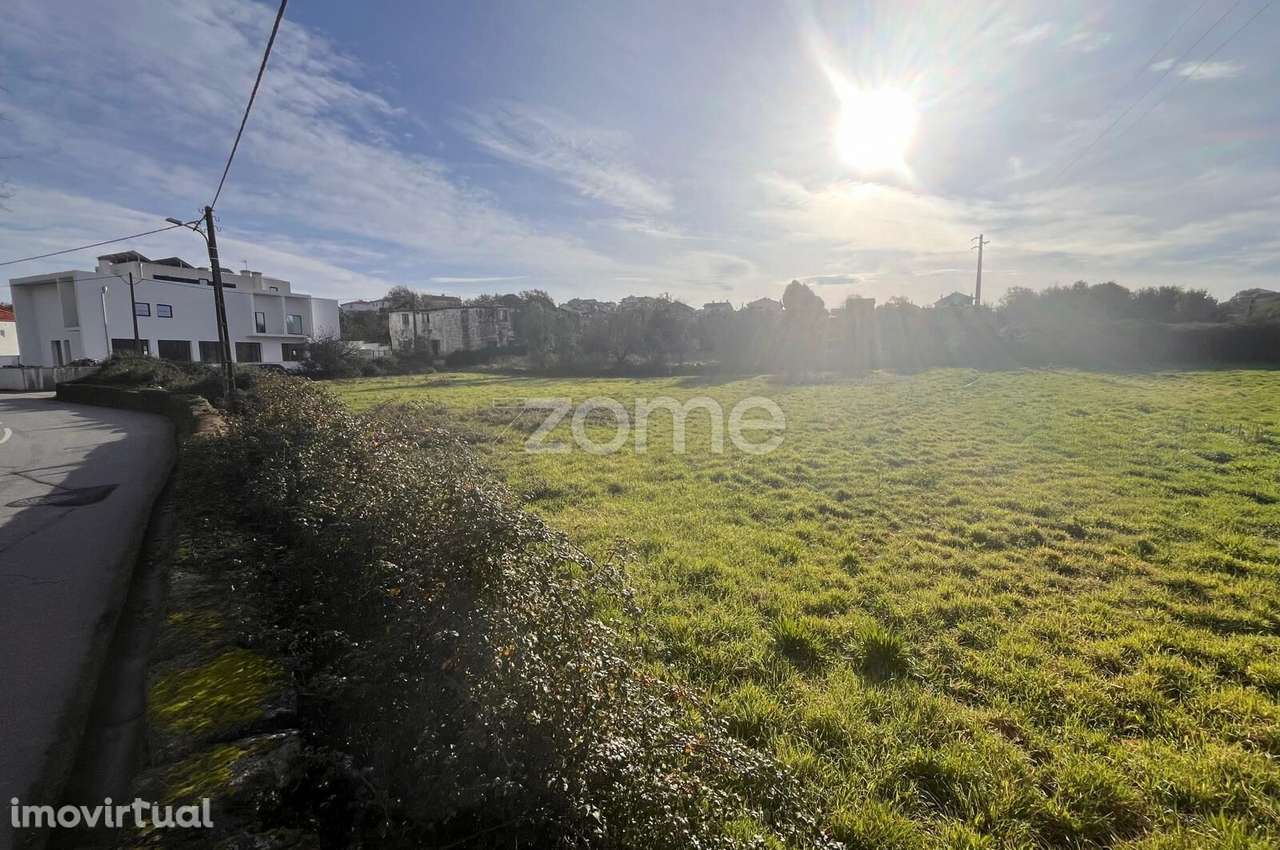 Terrenos em Rio de Loba - EXCELENTE OPORTUNIDADE - Grande imagem: 4/20