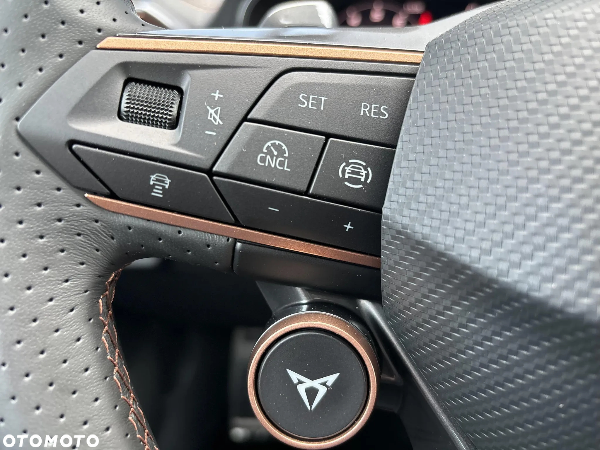 Cupra Formentor 1.5 TSI DSG - 11