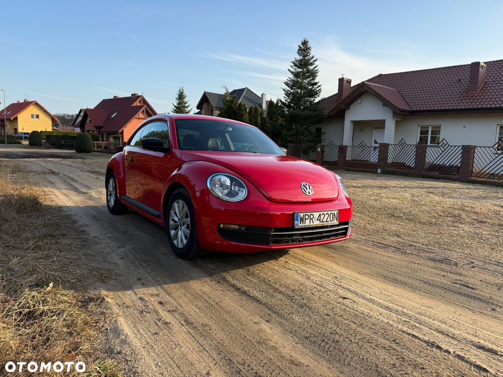 Volkswagen Beetle - 10
