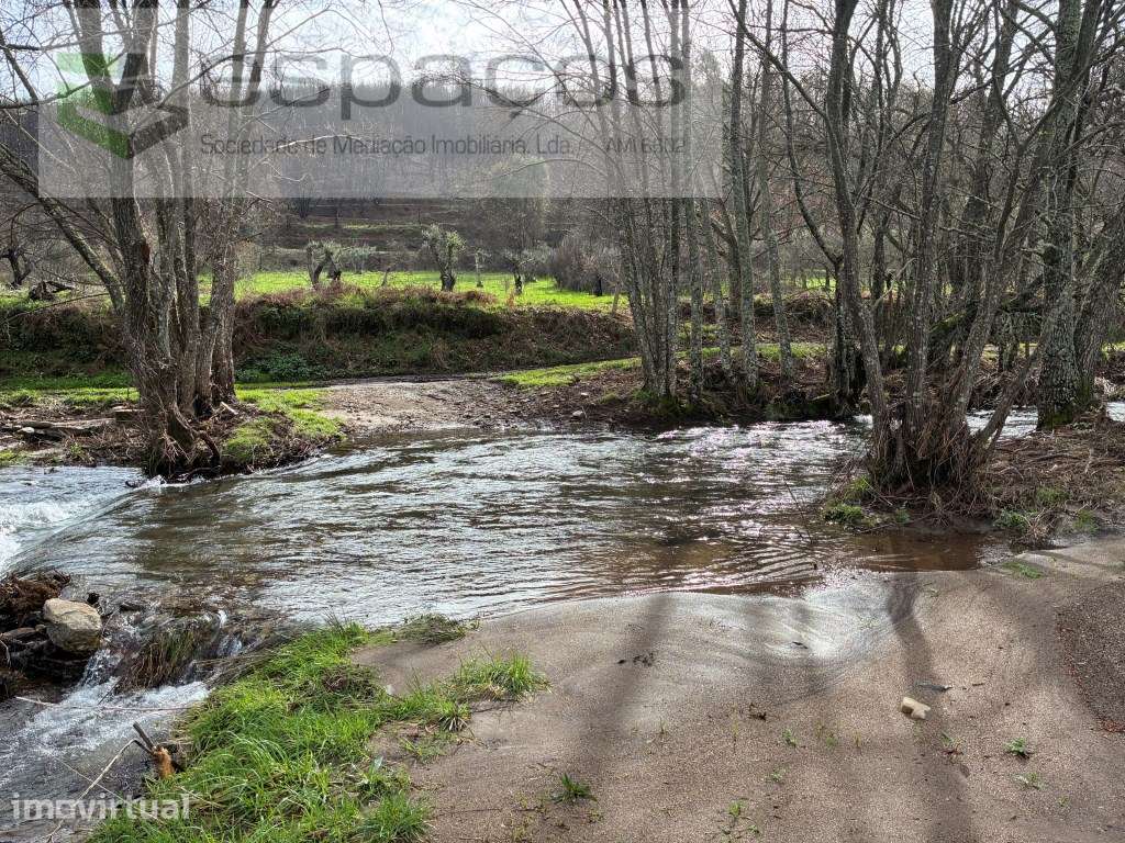 Magnifica Quinta - Grande imagem: 4/31
