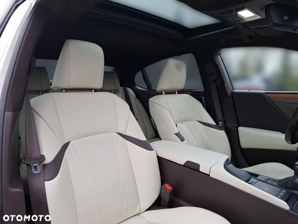 Lexus ES 300h Omotenashi - 13