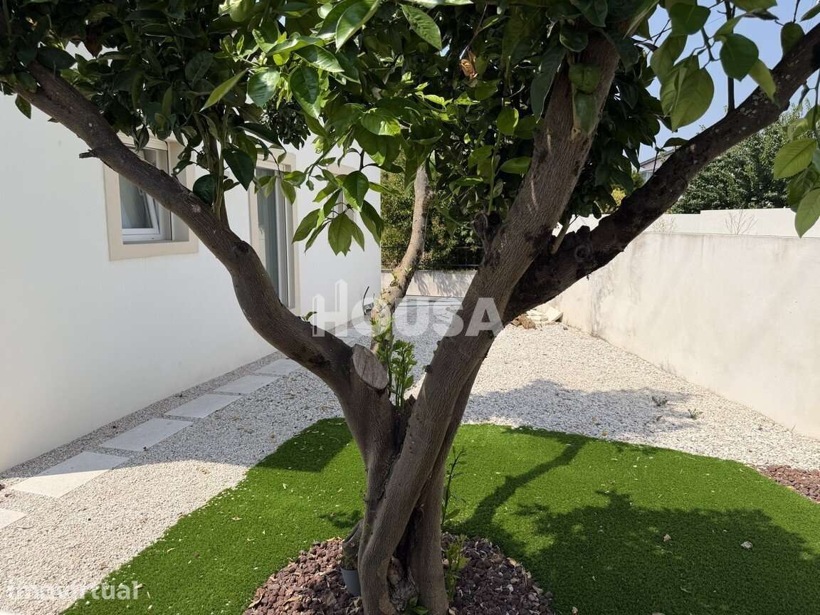 Moradia T3 térrea totalmente renovada na Gândara dos Olivais - Grande imagem: 3/25