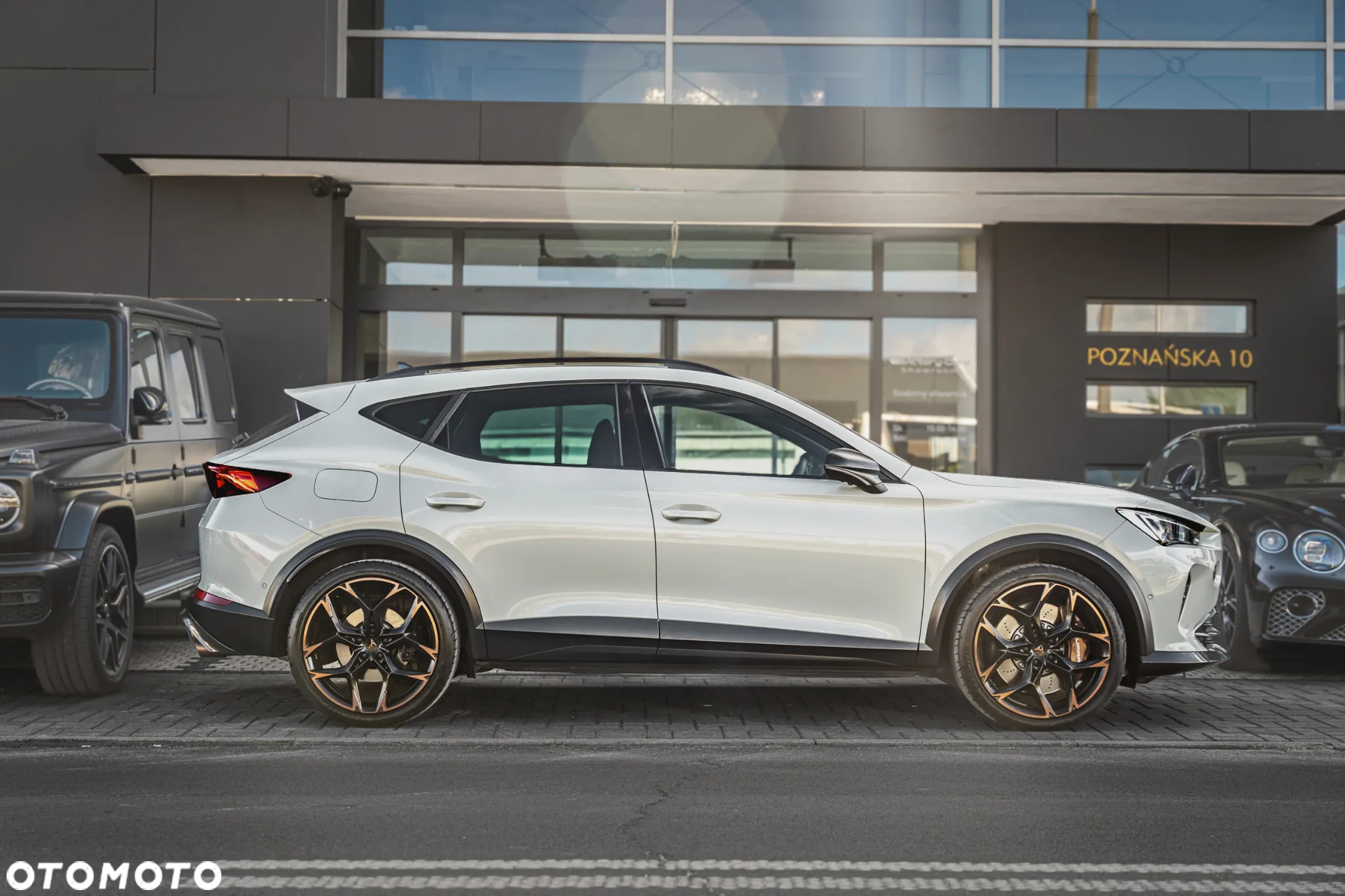 Cupra Formentor 2.5 TSI 4Drive VZ5 Taiga Grey DSG - 11