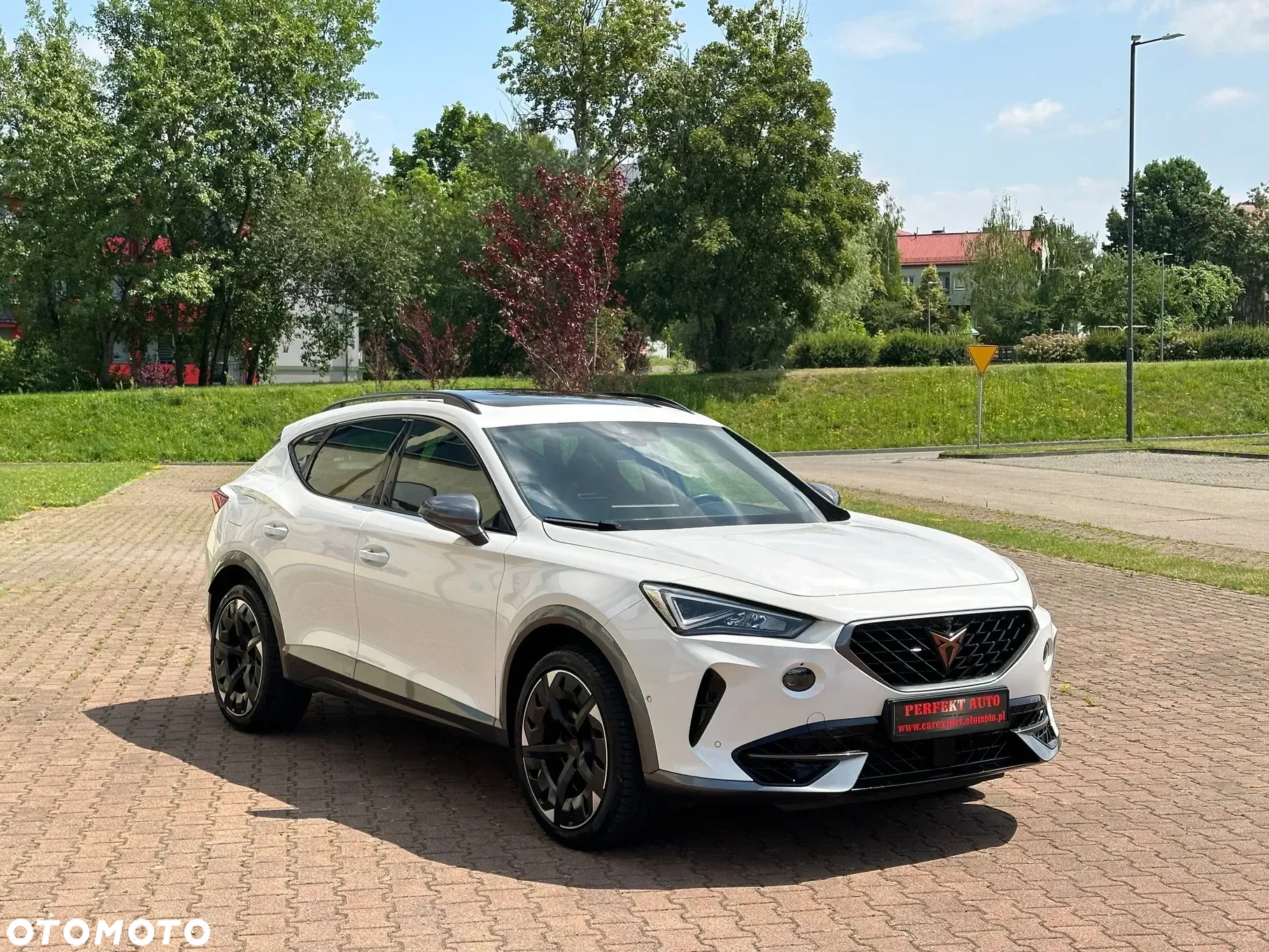 Cupra Formentor 2.0 TSI 4Drive VZ DSG - 14