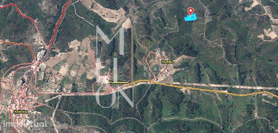 Terreno Rústico 1.520 m2 com Oliveiras e Pinhal – Amêndoa, Mação (Ribe - Grande imagem: 2/4